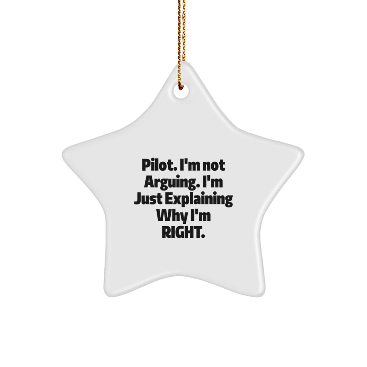 Funny Pilot Star Ornament Gifts from Friends for Pilot Men on Christmas Unique Gifts - Image 1