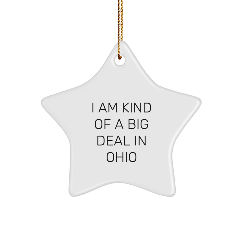 I Am Kind Of A Prime Selection In Ohio, Ohio Star Ornament, Christmas Unique Gifts from Friends to Ohio Family - Image 1