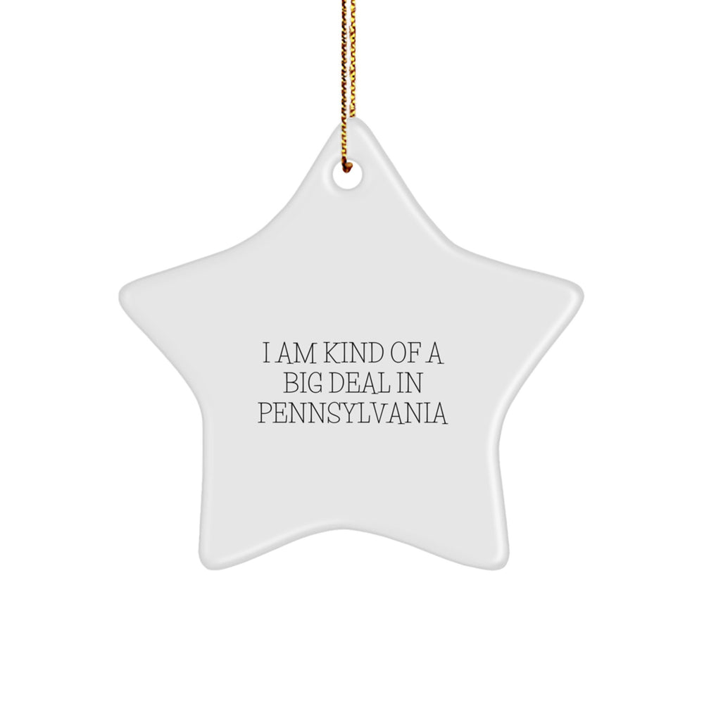 Funny Pennsylvania Star Ornament, 'I Am Kind Of A Prime Selection In Pennsylvania' Quote, Gifts from Family to Men, Women, Friends, Coworkers, Family, Christmas Unique Gifts - Image 1