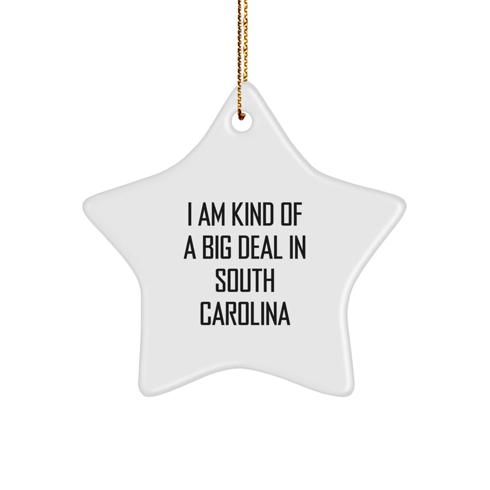 Kind of a Prime Selection in South Carolina Star Ornament Gifts from Family to Friends - Image 1