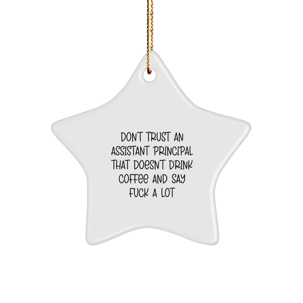 Funny Assistant Principal Gifts for Men - Star Ornament, Christmas Unique Gifts from Men to Assistant Principals - Image 1