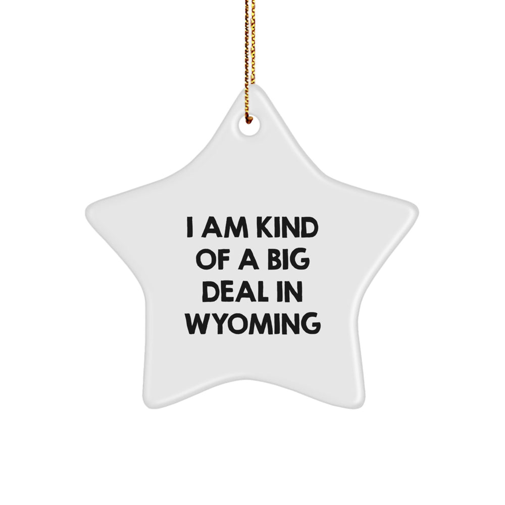 Wyoming Star Ornament, I Am Kind Of A Prime Selection In Wyoming Funny Quote, Gifts from Friends, Family, or Coworkers, Star Shaped, White, Christmas Unique Gifts - Image 1