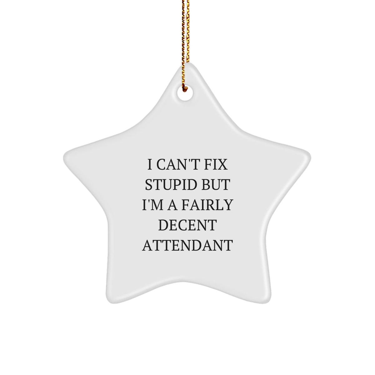 Funny Attendant Gifts from Men, Women, Friends, Coworkers, Family to Attendant, Men, Women for Christmas Unique Gifts - Image 1