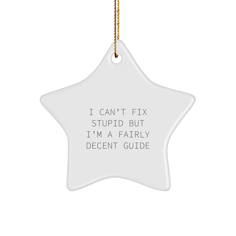 Funny Guide Gifts from Friends and Family, Star Ornament for Guide, Christmas Unique Gifts, 'I Can't Fix Stupid But I'm A Fairly Decent Guide' Star Shaped Decoration - Image 1