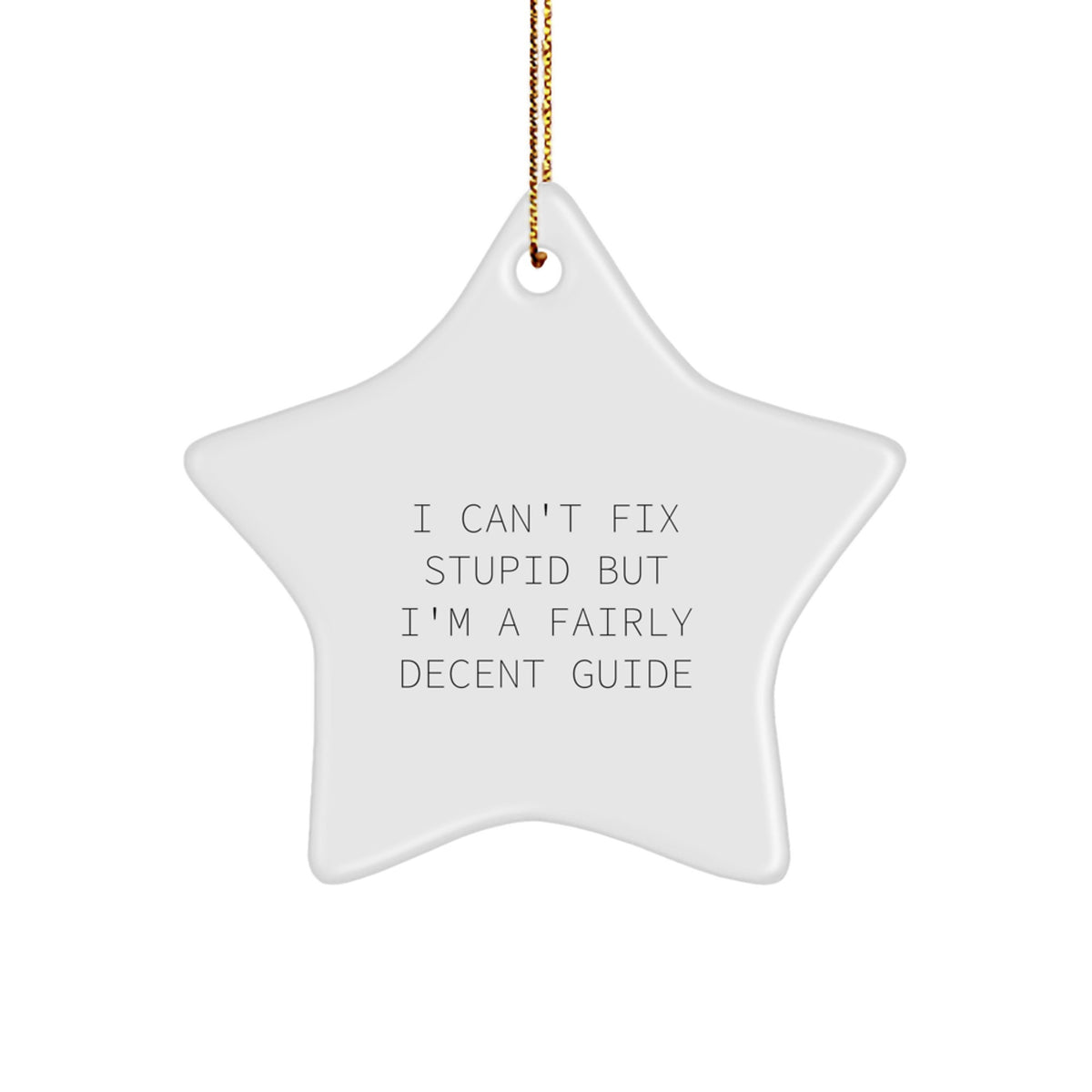 Funny Guide Gifts from Friends and Family, Star Ornament for Guide, Christmas Unique Gifts, 'I Can't Fix Stupid But I'm A Fairly Decent Guide' Star Shaped Decoration - Image 1