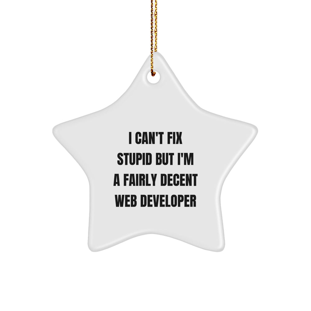 Funny Web Developer Gifts from Friends, Christmas Unique Star Ornament for Web Developer Men, I Can't Fix Stupid But I'm A Fairly Decent Web Developer Quote - Image 1
