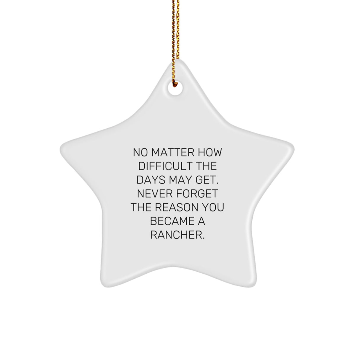 Funny Rancher Gifts for Men, Inspirational Star Ornament Christmas Memorable Presents, Gifts from Family to Rancher Lover, Never Forget the Reason - Image 1