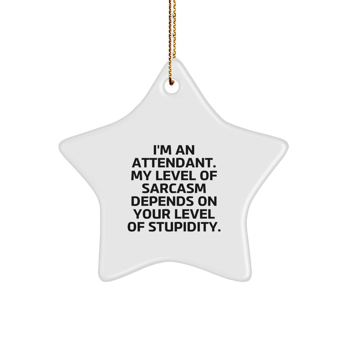 Funny Attendant Christmas Unique Gifts from Men - Star Ornament with Sassy Quote for Attendant, Unique Gifts for Friends, Coworkers, Family - Image 1