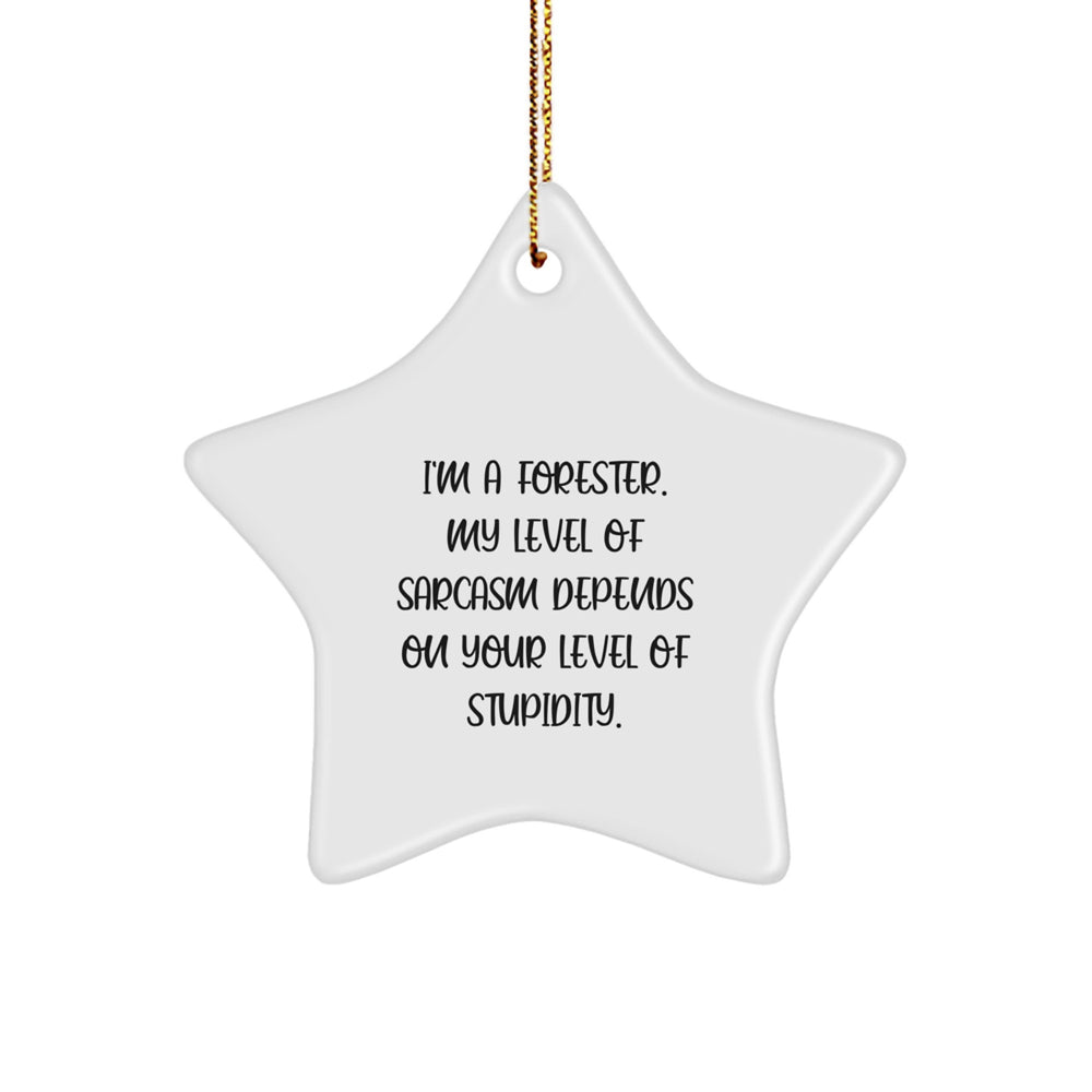 Funny Forester Gifts for Men from Friends - Christmas Unique Star Ornament with Inspirational Sarcasm Quote - Star Ornament for Forester Enthusiast - Image 1