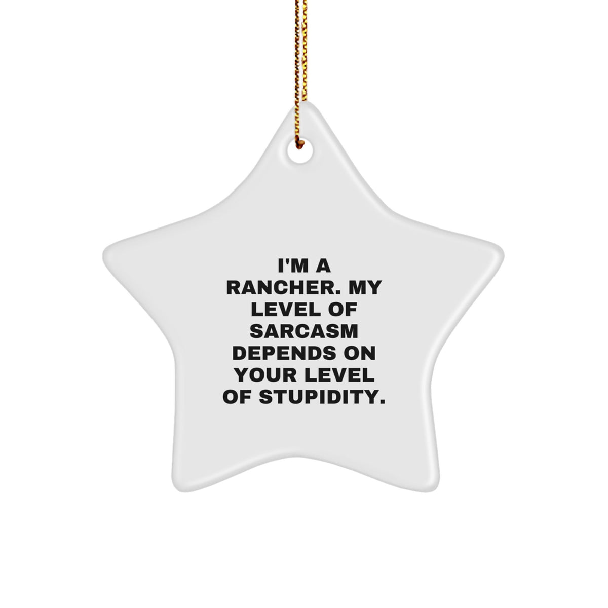 Rancher Humor Funny Star Ornament, Gifts from Friends, Christmas Unique Decor for Rancher Man, Inspirational 'I'm A Rancher, My Level Of Sarcasm Depends On Your Level Of Stupidity' Quote - Image 1