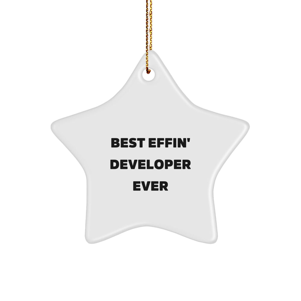 Funny Developer Gifts from Men - Best Effin' Developer Ever Star Ornament for Christmas Unique Gifts - Image 1