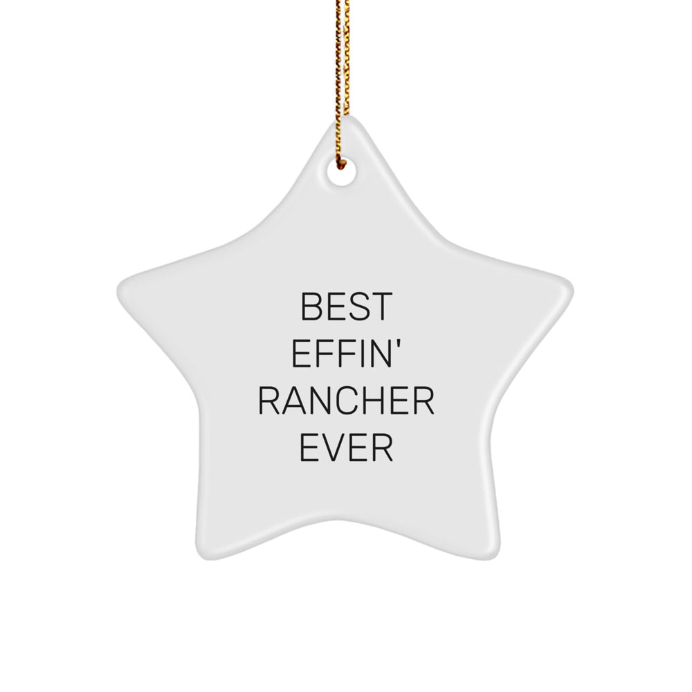 Funny Star Ornament Gifts from Men to the Best Effin' Rancher Ever, Christmas Unique Rancher Gifts, Perfect Star Ornament for Men - Image 1