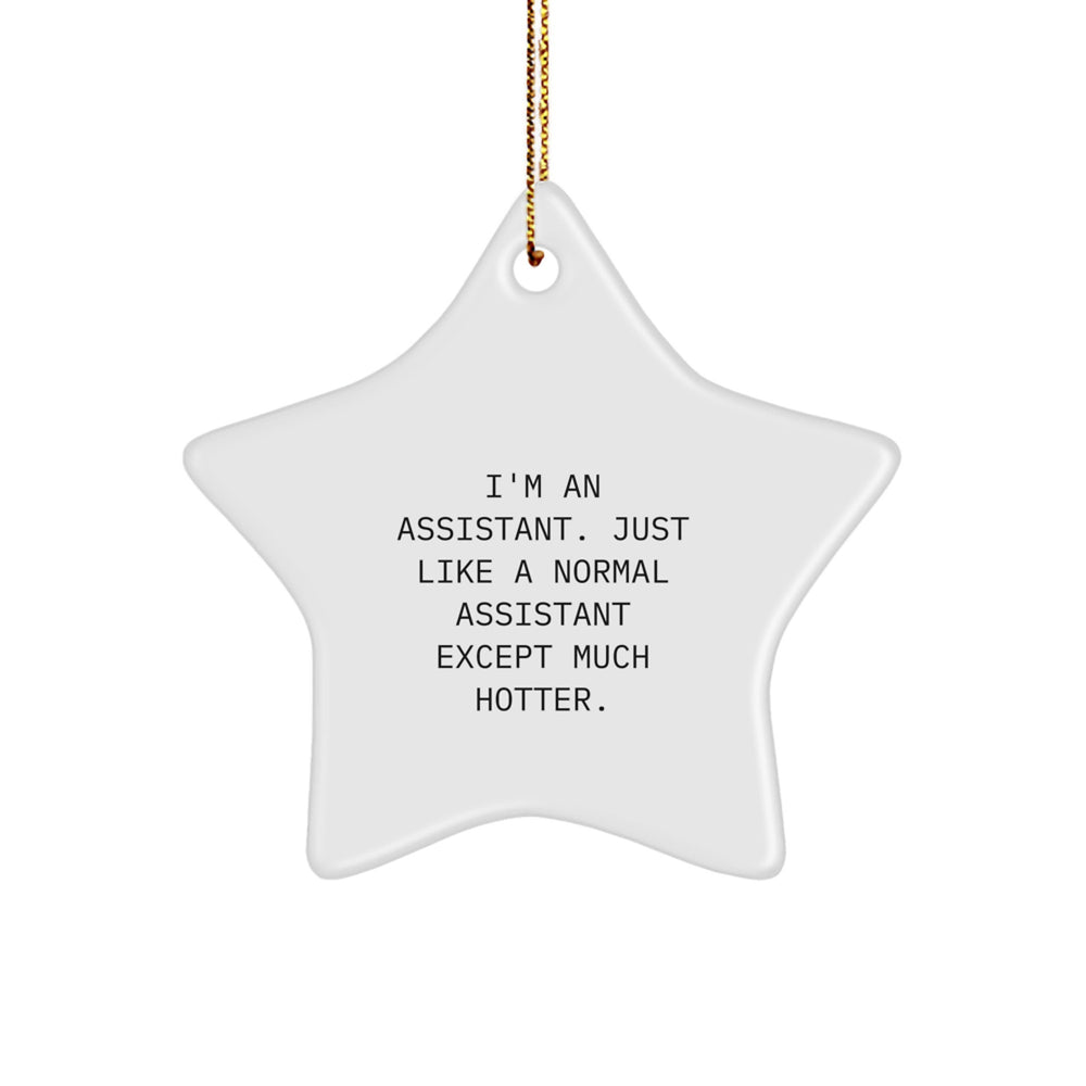 Funny Assistant Star Ornaments Gift for Assistant Men Funny Assistant Star Ornament Gifts from Men to Assistant - Image 1