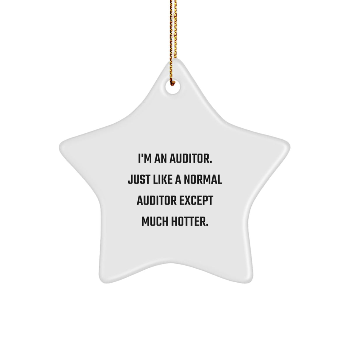 Auditor Gifts for Christmas - Funny Star Ornament from Friends, 'I'm An Auditor. Just Like A Normal Auditor Except Much Hotter.' - Image 1