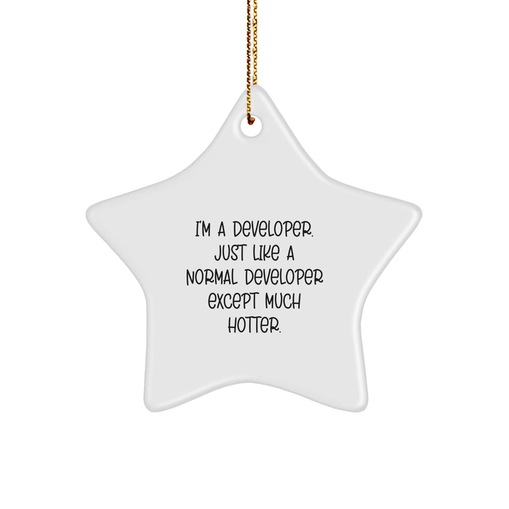 Funny Developer Gifts, Star Ornament with Inspirational Quote, Gifts from Friends for Him, Unique Christmas Memorable Presents for Men - Image 1