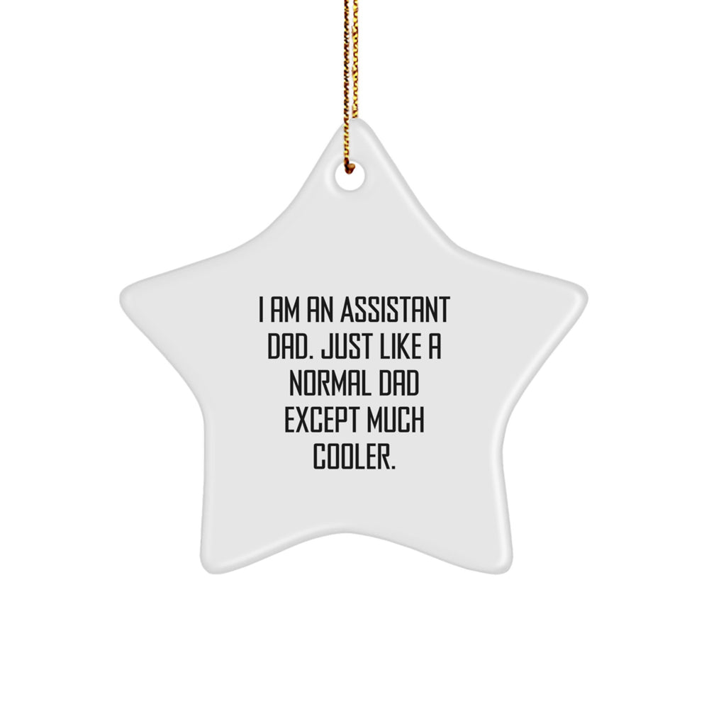 Funny Assistant Dad Star Ornament Gift from Men Friends Family, Unique Assistant Star Ornament Christmas Unique Gifts for Assistant Friends - Image 1