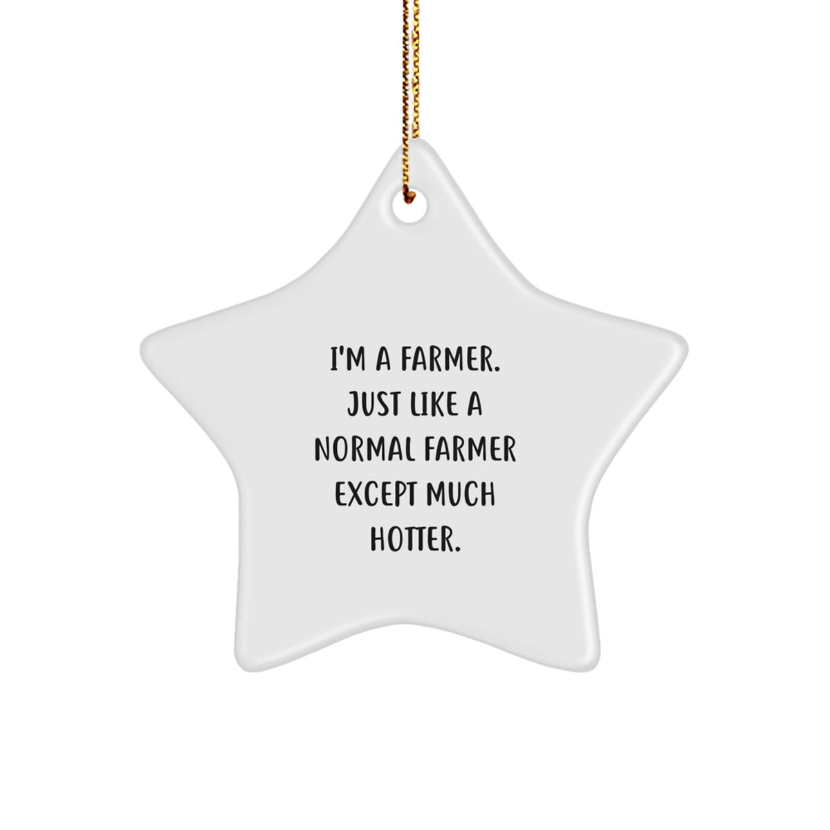 Funny Farmer Star Ornament Gifts from Men Friends Family to Farmer Men Women Friends Family for Christmas Unique Decoration - Image 1