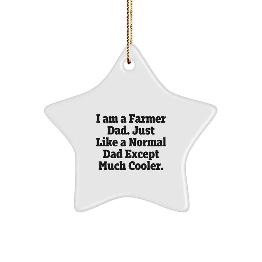 Farmer Star Ornament Gift for Dad from Family - Funny Christmas Unique Star Decorations - Image 1