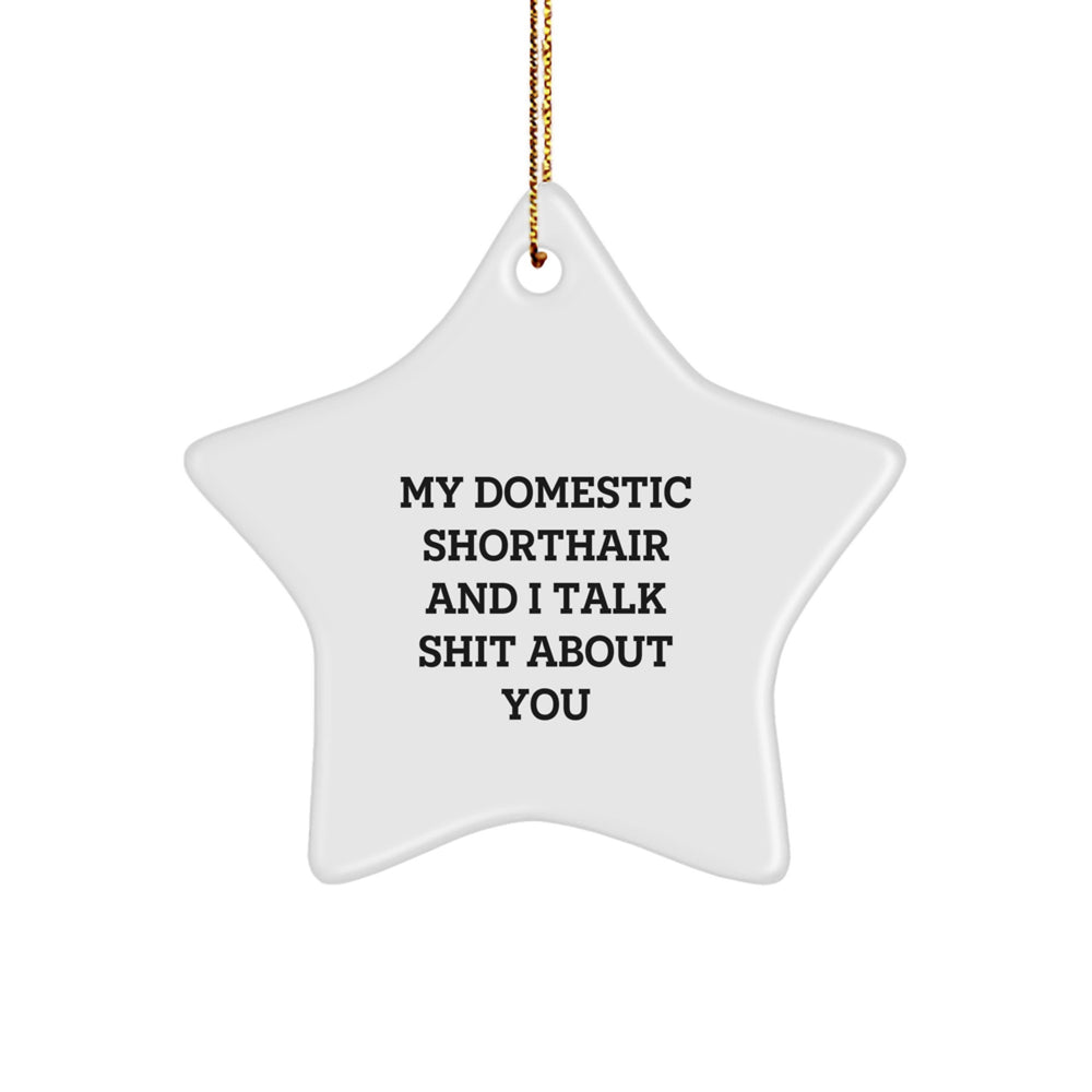 Funny Domestic Shorthair Cat Star Ornament Gifts from Friends for Christmas, 'My Domestic Shorthair And I Talk Shit About You' Quote, Unique White Star-Shaped Decoration - Image 1