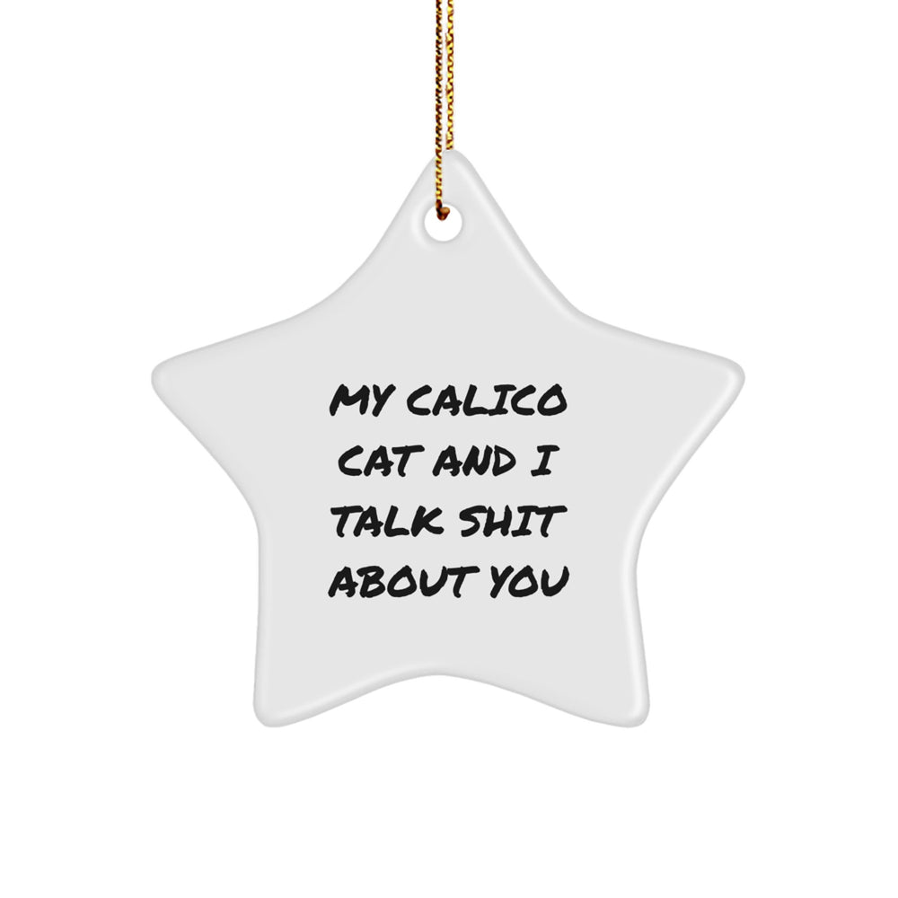 Calico Cat Lover Gifts from Friends, Funny Star Ornament with 'My Calico Cat And I Talk Shit About You' Quote for Christmas - Image 1