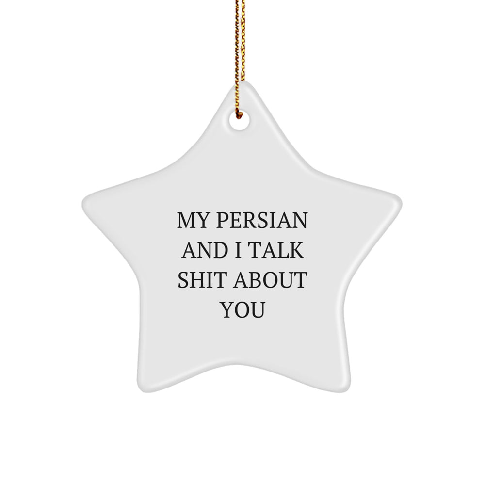 Funny Persian Cat Star Ornament Gifts for Friends from My Persian And I Talk Shit About You Lovers - Image 1