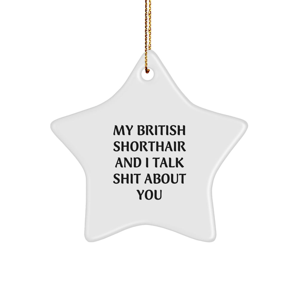 British Shorthair Cat Star Ornament Funny Quote Gifts for Men Women Friends Family Christmas - Image 1