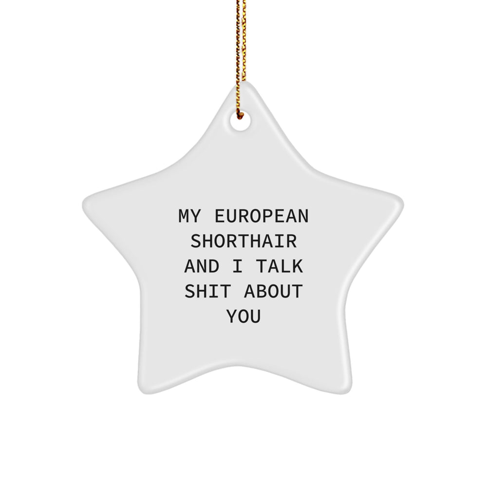 European Shorthair Cat Lovers Star Ornament, Funny Quote 'My European Shorthair And I Talk Shit About You' Gifts from Friends to Family, Perfect for Christmas Decorations - Image 1
