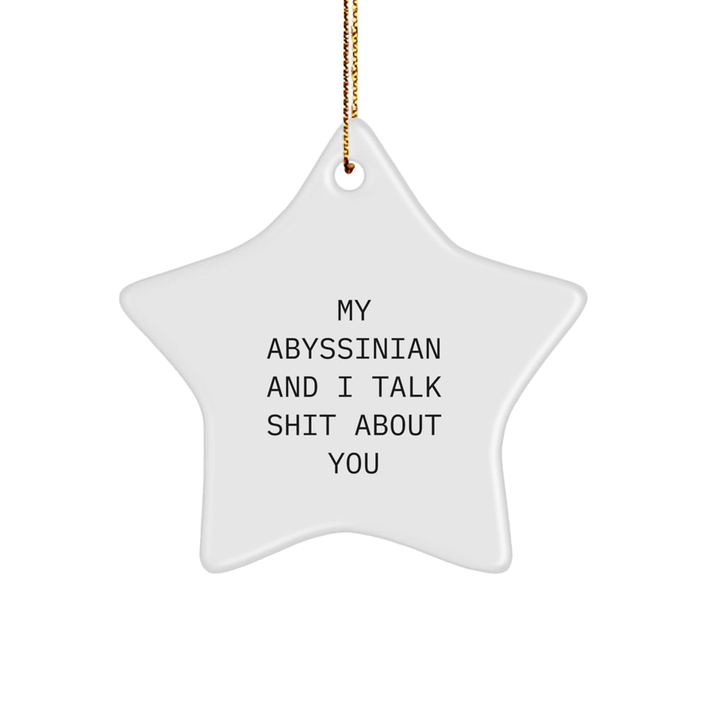 Abyssinian Cat Gifts, Funny Quote Ornament, Star Shaped White MDF, Gifts from Men to Friends, for Cat Lovers' Christmas - Image 1
