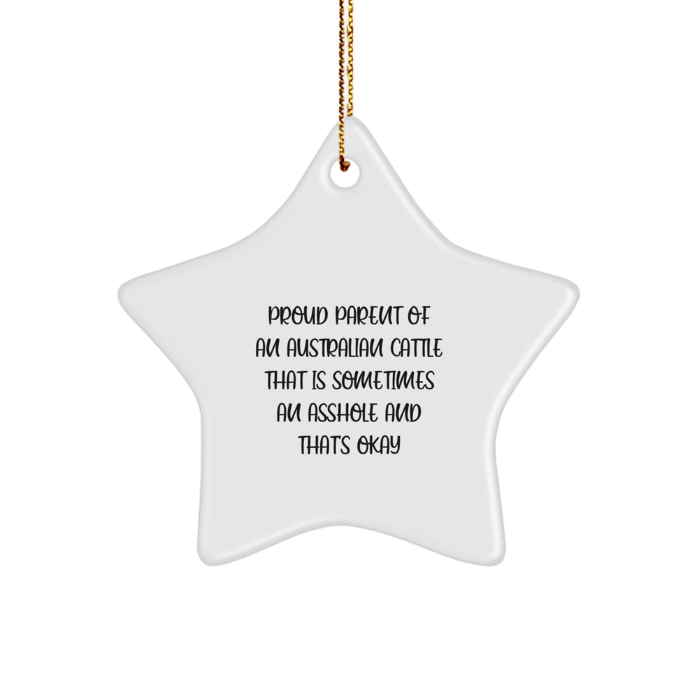 Funny Australian Cattle Dog Gifts from Friends for Australian Cattle Dog Lovers - Christmas Unique Gifts, Australian Cattle Dog Star Ornament - Image 1