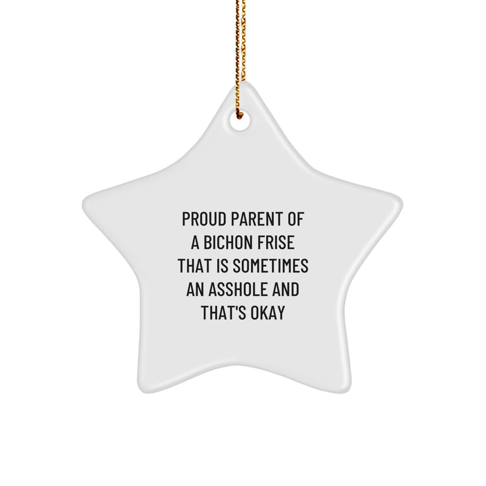 Funny Bichon Frise Dog Star Ornament Gifts from Proud Parents, Gifts for Bichon Frise Dog Lovers on Christmas - Image 1