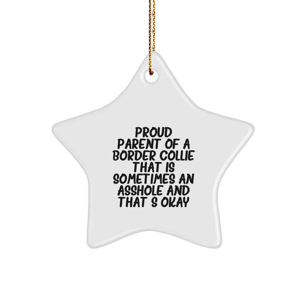 Funny Border Collie Dog Gifts for Proud Parents, 'Sometimes An Asshole' Star Ornament, Christmas Unique Gifts from Men to Friends - Image 1