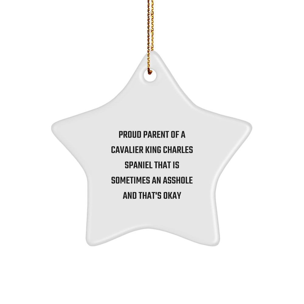Cavalier King Charles Spaniel Dog Gifts from Proud Parents, 'Sometimes an Asshole, That's Okay' Star Ornament, Christmas Unique Gifts for Family - Image 1