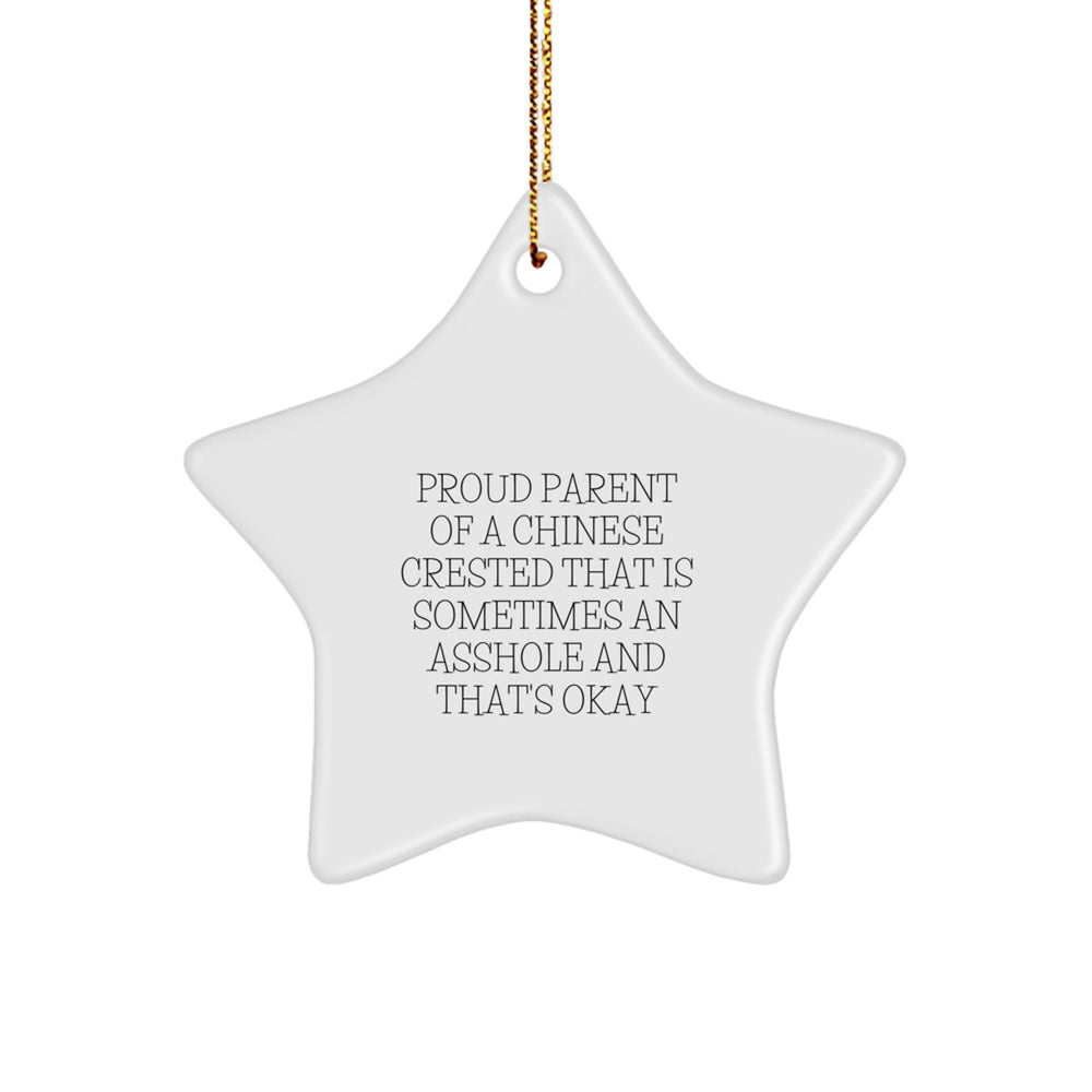 Chinese Crested Dog Star Ornament, Funny Quote Gifts from Proud Parents, Christmas Unique Presents for Chinese Crested Dog Lovers, Gifts from Family to Friends - Image 1