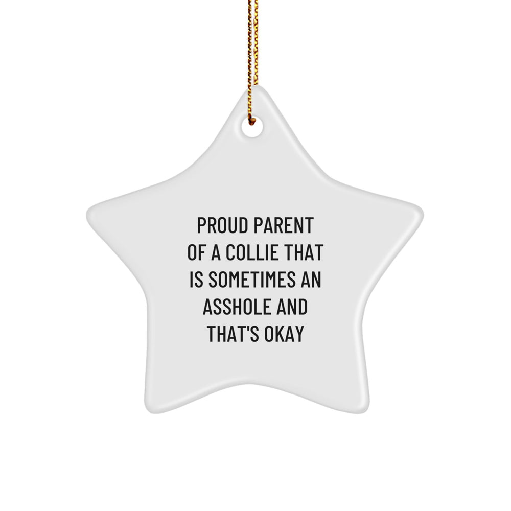Funny Collie Dog Gifts for Men from Proud Parents, Star Ornament, Christmas Unique Gifts - Image 1