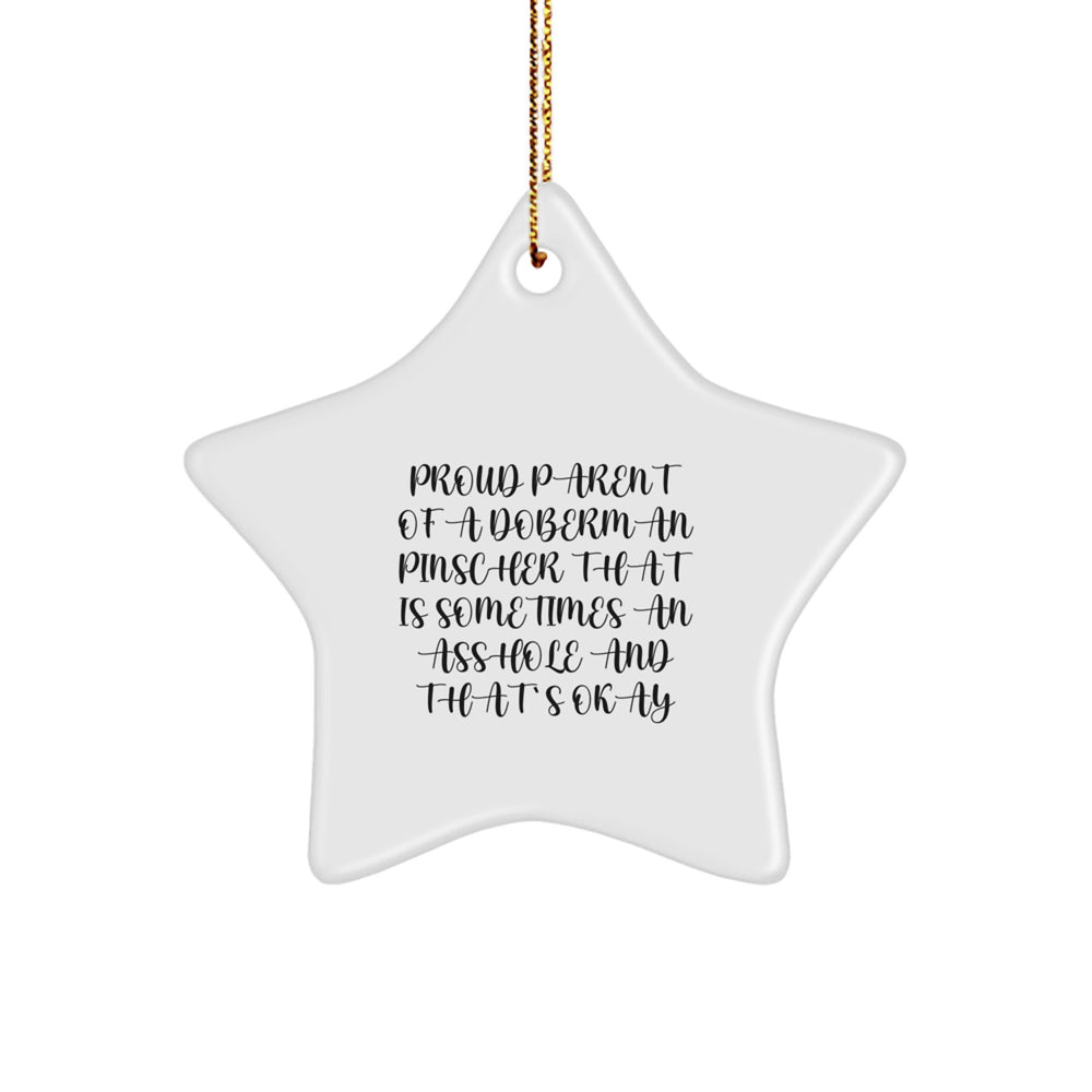 Funny Doberman Pinscher Dog Gifts for Men, Women, or Friends - Star Ornament with Quote, Christmas Unique Gifts from Family - Image 1