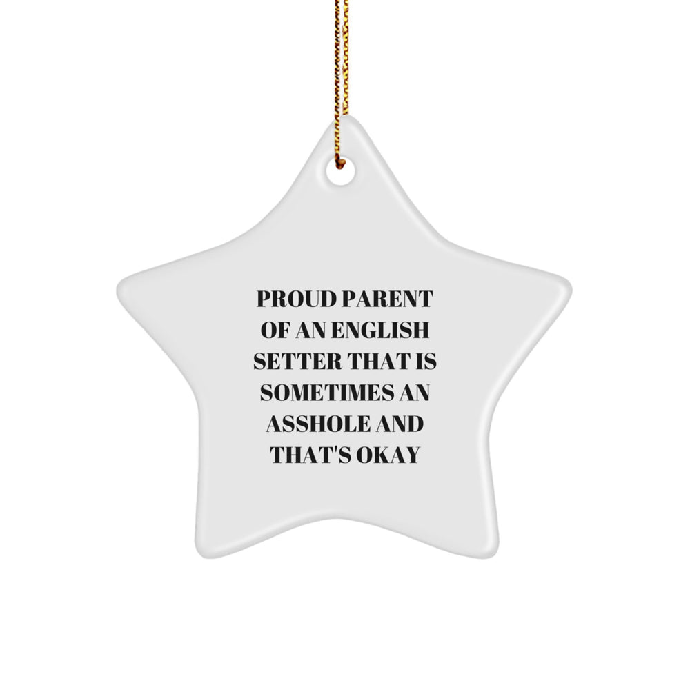 Funny English Setter Dog Gifts from Parents - 'Sometimes An Asshole' Star Ornament for Christmas - Image 1