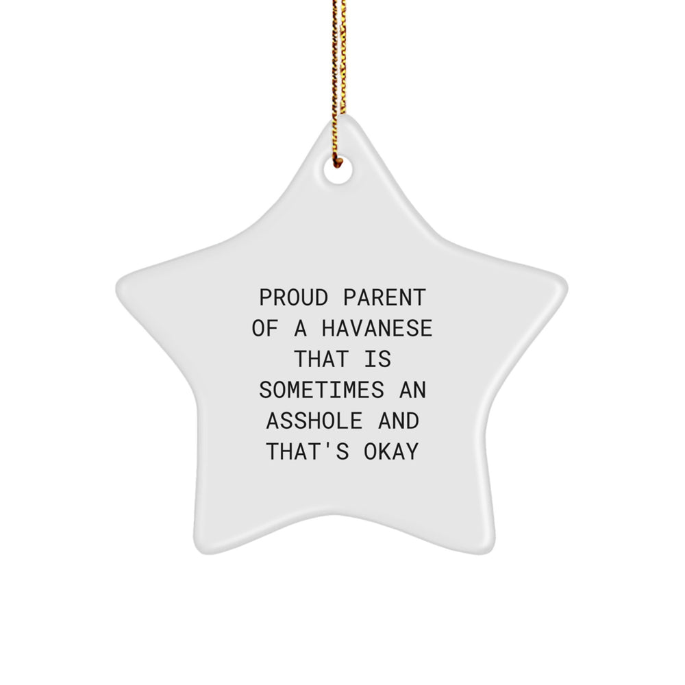 Funny Havanese Dog Gifts for Men - Star Ornament with Gold Cord - Christmas Unique Gifts from Friends for Havanese Dog Lovers - Image 1