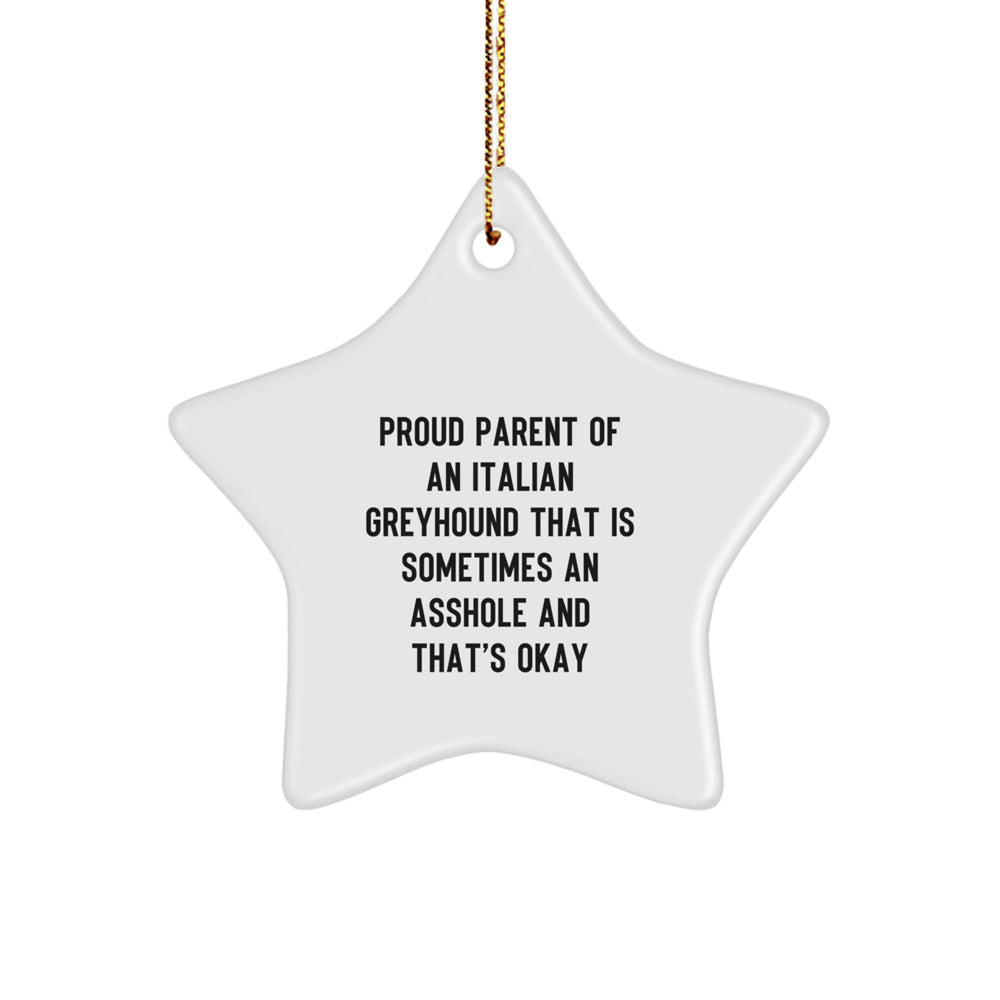 'Funny' Italian Greyhound Dog Gifts from Proud Parents - Star Ornament for Christmas Decor, Gifts for Italian Greyhound Dog Lovers, Friends, or Coworkers - Image 1