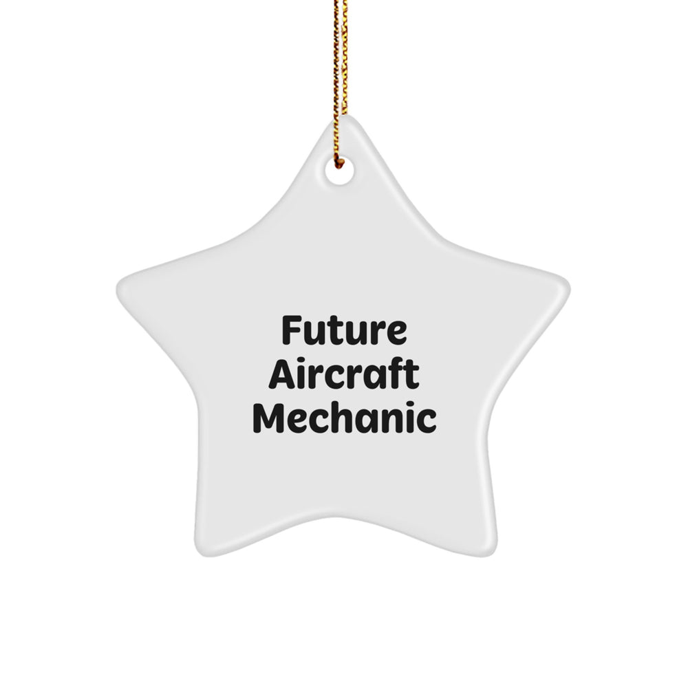 Future Aircraft Mechanic Gift, Inspirational Star Ornament, Christmas Decorations from Family, Friends, Coworkers, or Men to Aircraft Mechanic, Star Lover - Image 1