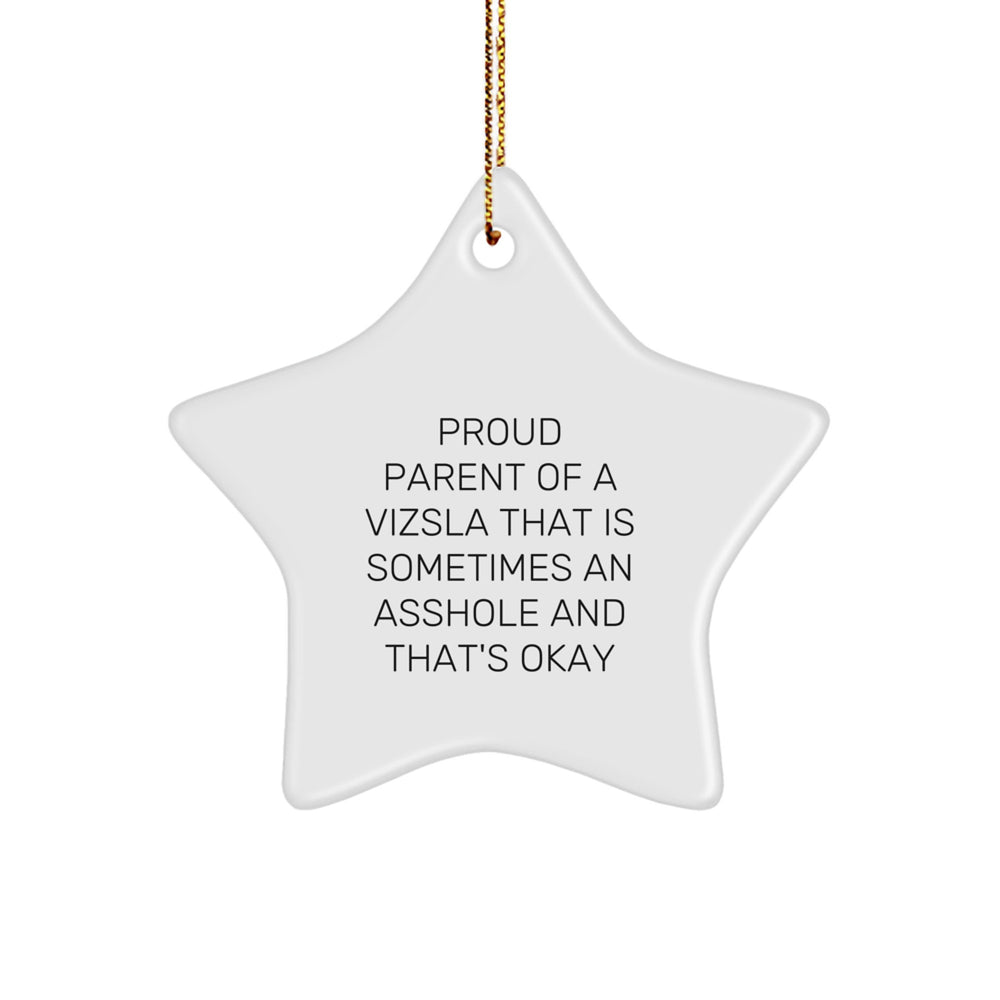 Vizsla Dog Mom's Funny Christmas Unique Gift for Friends - Star Ornament with 'Proud Parent' Quote, Gifts from Mom - Image 1