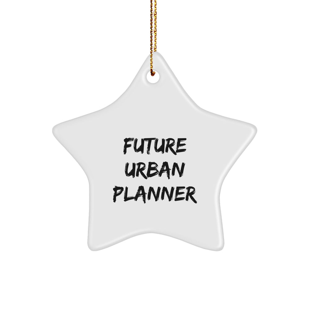Urban Planner Inspired Funny Star Ornament Gifts from Friends to Future Urban Planners Christmas Unique Decorations - Image 1