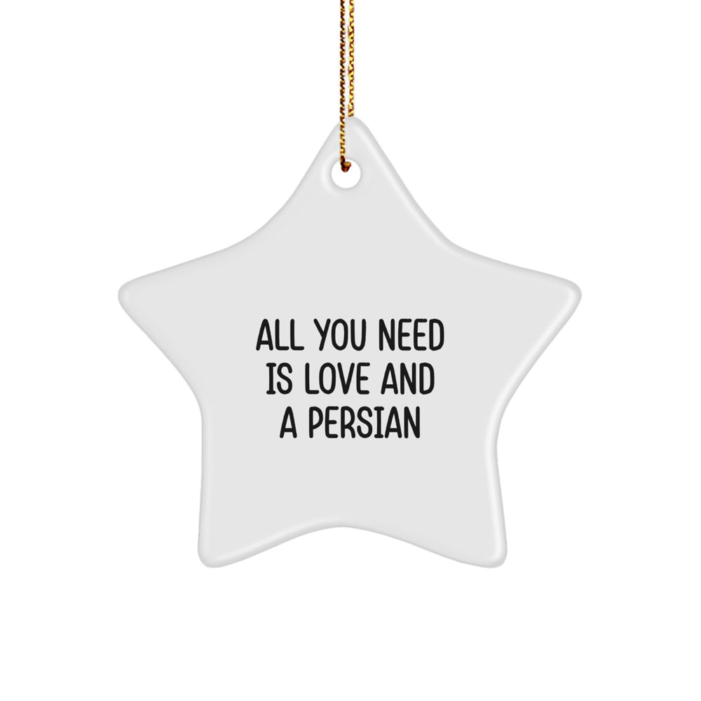 Gifts from Friends for Persian Cat Lovers - All You Need Is Love And A Persian Star Ornament, Perfect for Christmas - Image 1