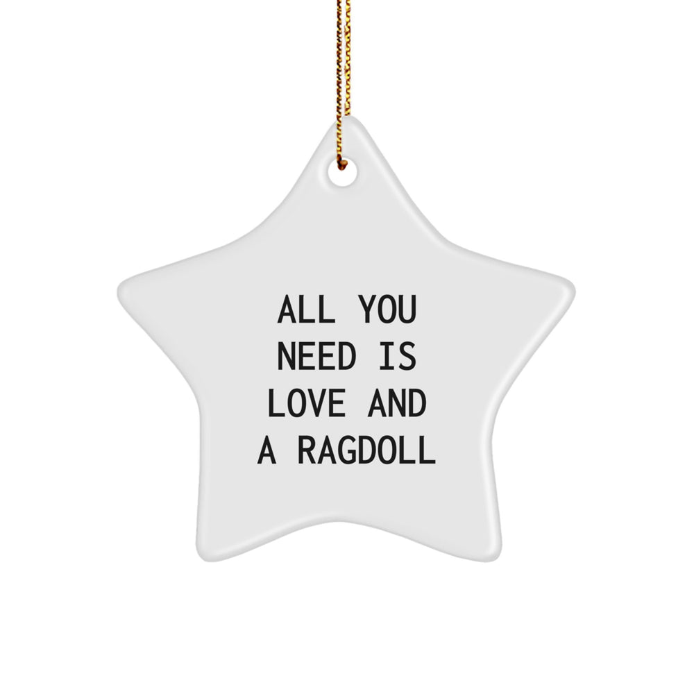 Ragdoll Cat Lovers' Christmas Unique Gift, Star Ornament with 'All You Need Is Love And A Ragdoll' Quote, Gifts from Family to Friends - Image 1