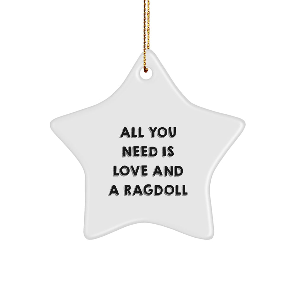 Ragdoll Cat Lovers' Star Ornament Gifts from Family, Friends, and Coworkers - 'All You Need Is Love And A Ragdoll' Quote, White Star Shaped, Christmas Unique Gifts for Men, Women - Image 1