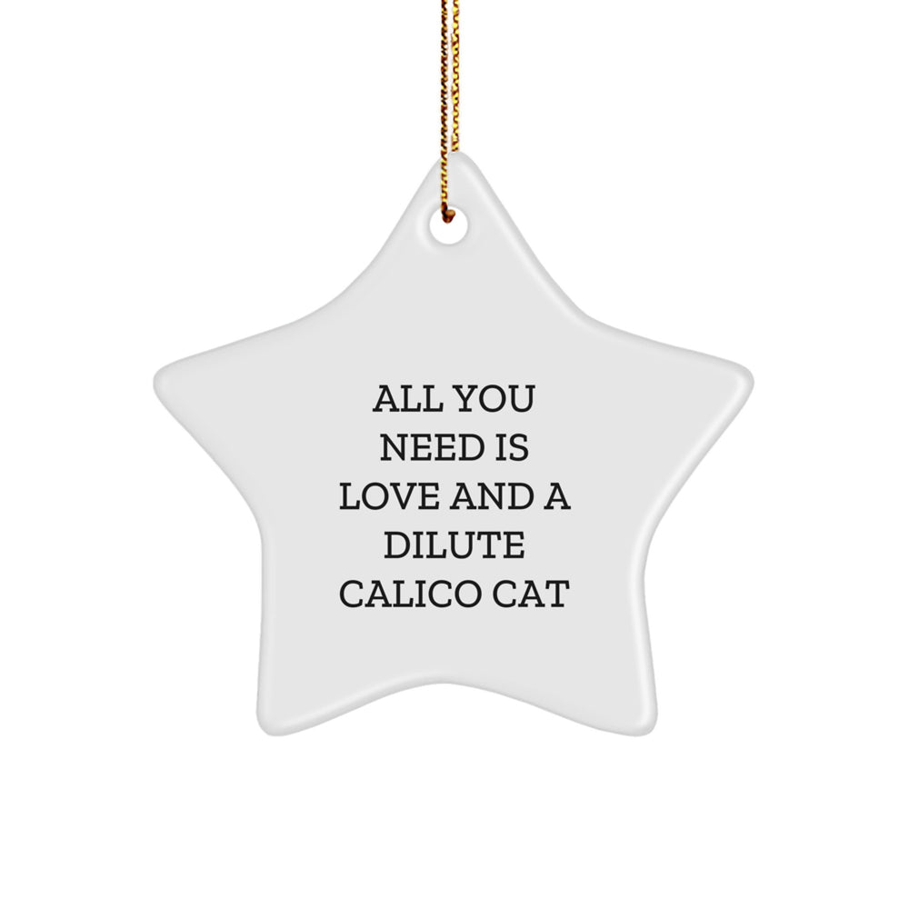 Dilute Calico Cat Gifts, Inspirational Quote, Star Ornament for Christmas, Gifts from Family to Friends, Unique Dilute Calico Cat Lover Gifts for Women - Image 1