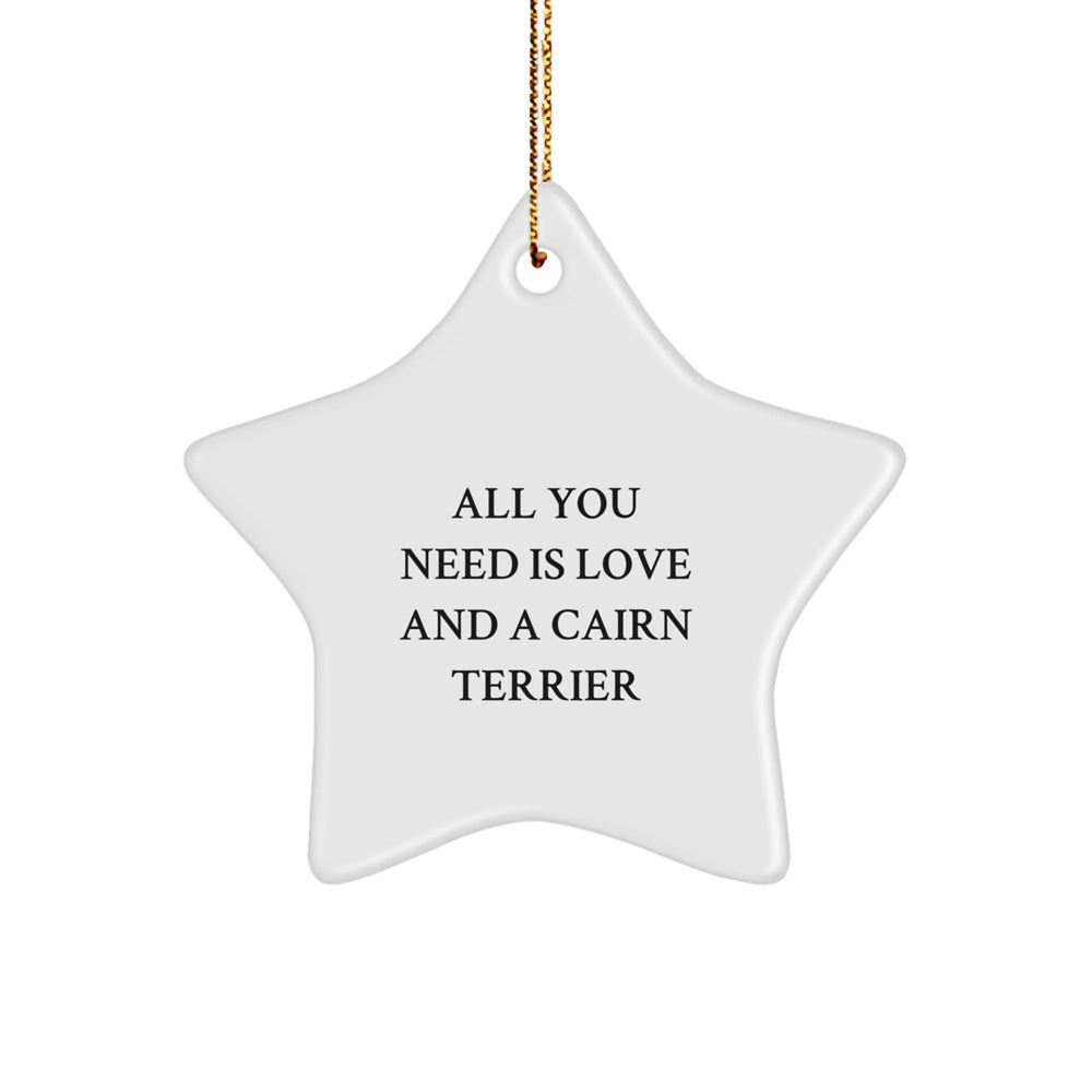 Funny Cairn Terrier Dog Star Ornament Gifts from Men or Women for Christmas Unique Gifts - Image 1